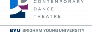 Logo preview