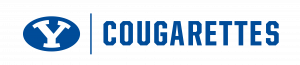 Logo preview